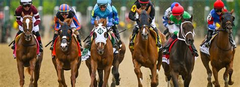 Preakness Stakes 2025 odds, picks: Sovereignty, Journalism, .